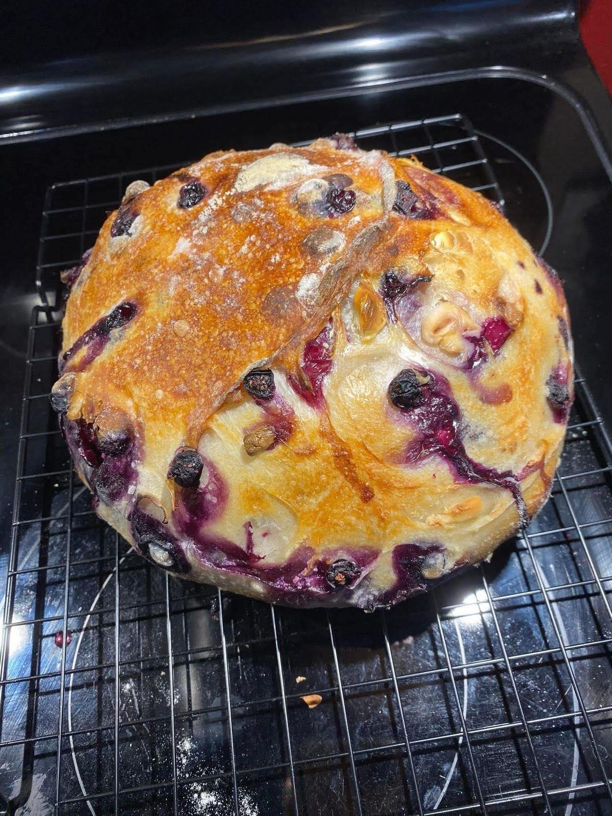 Rustic Blueberry Walnut Artisan Bread