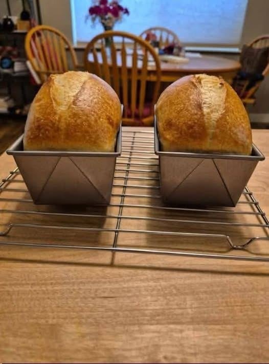Homemade Artisan Sandwich Bread Recipe