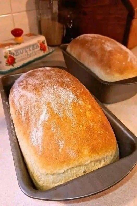 Homemade Sourdough Bread