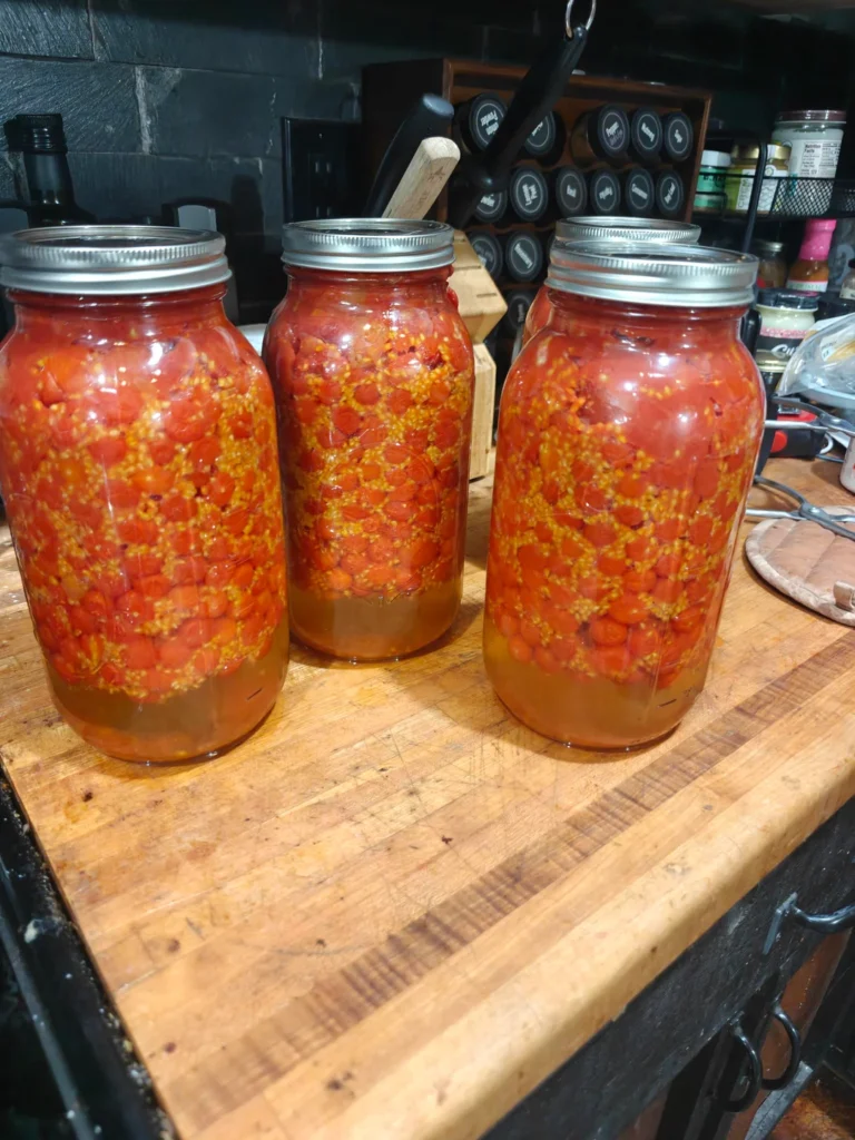 Fermented Tomato Meat Balls